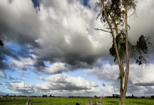 球派体育的NBA直播体验到底怎么样？