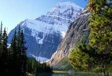 如何快速查询足彩竞彩开奖结果？